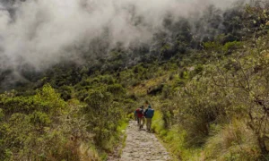 Camino Inca a Machu Picchu